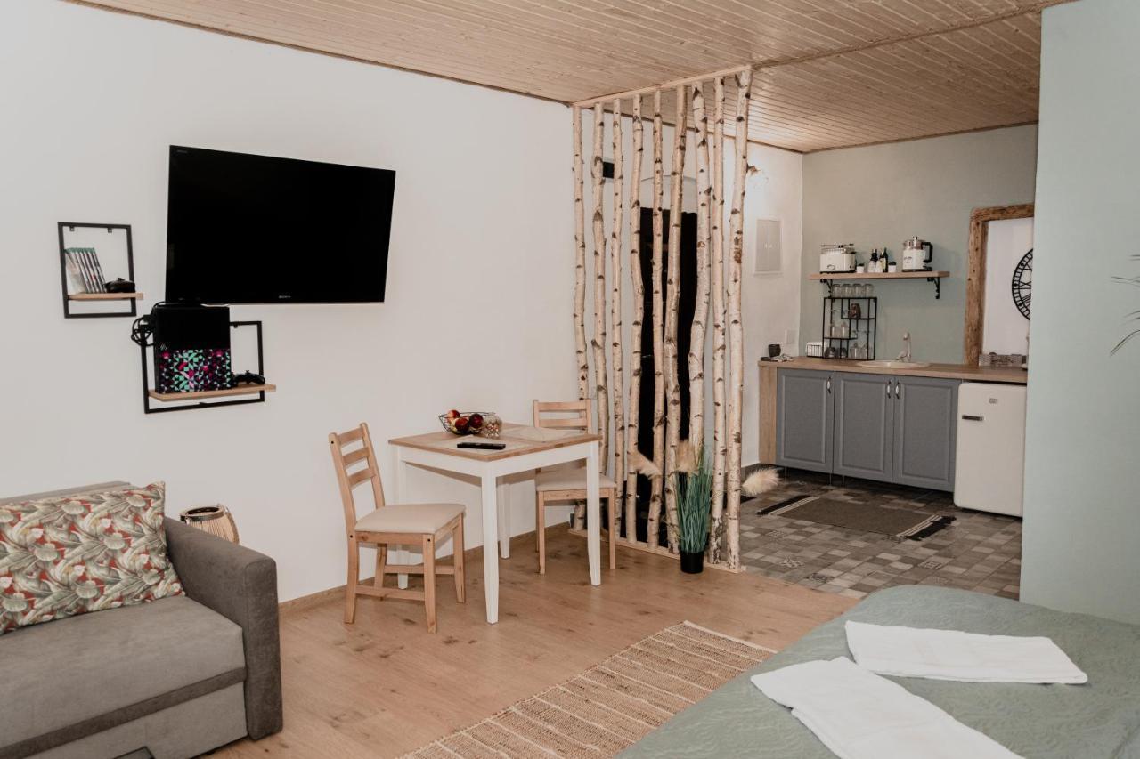 Central Garden Apartments 布拉索夫 外观 照片
